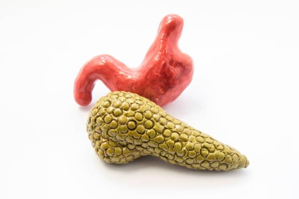 istockphoto-914401394-612x612