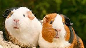 bab87bae-933d-4fd9-8e92-3ff205d7e4e5