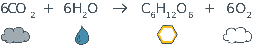co2%20formula