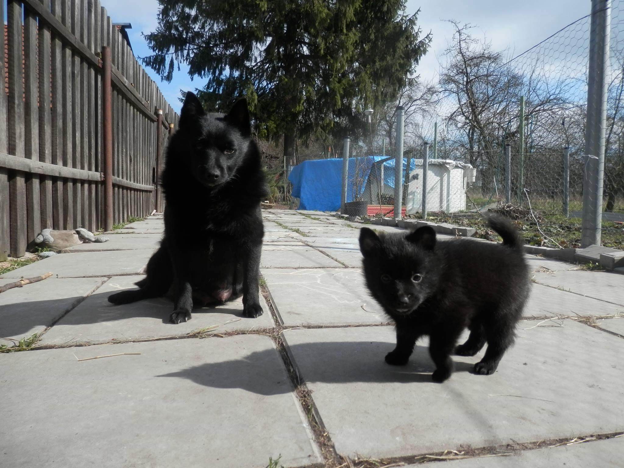 316690023 1843836419284749 7684295577369325113 n