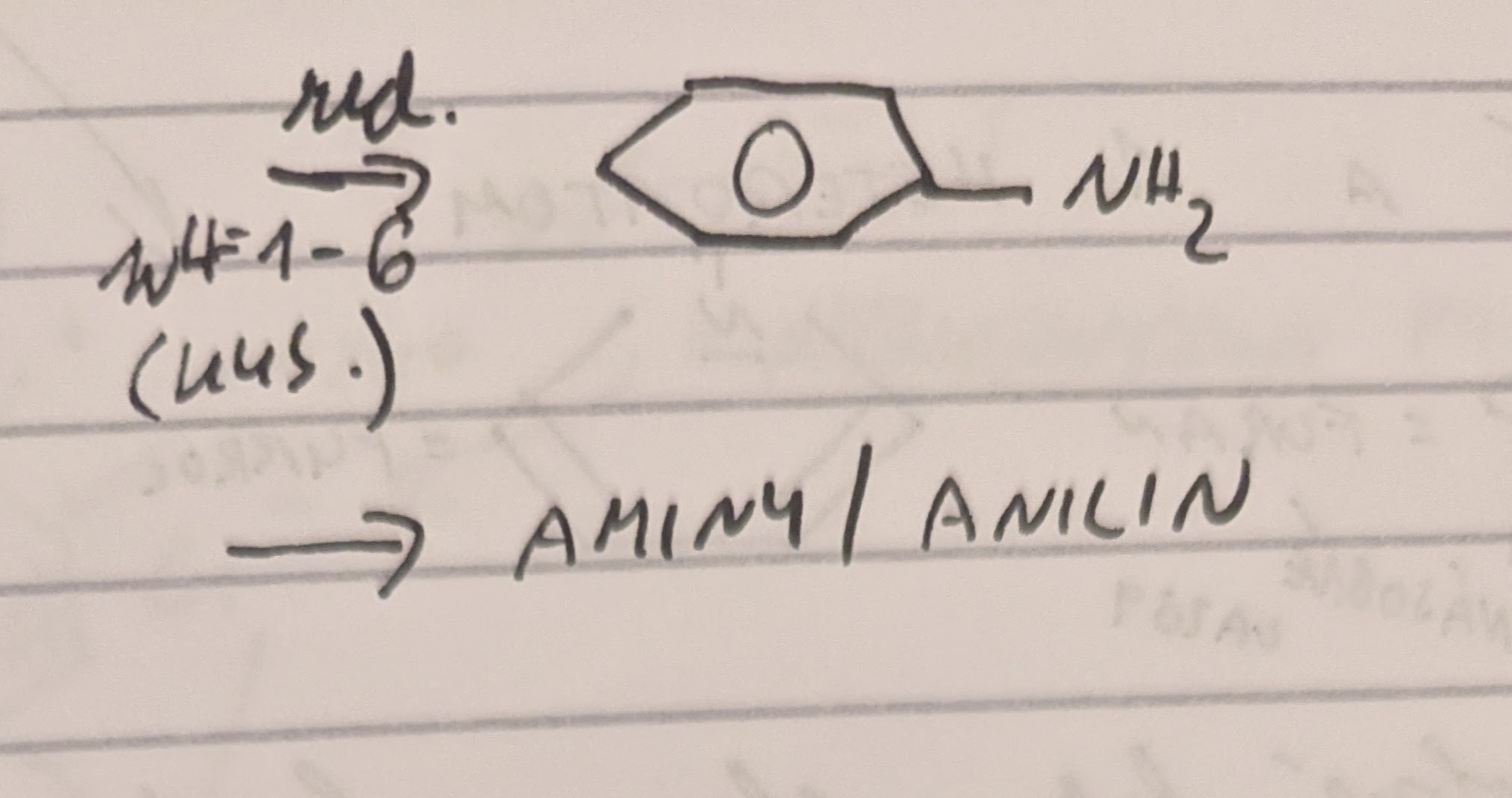 PXL 20230227 202635453