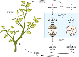 bcd1f4f4-2d2f-446e-9489-038dff8494ee