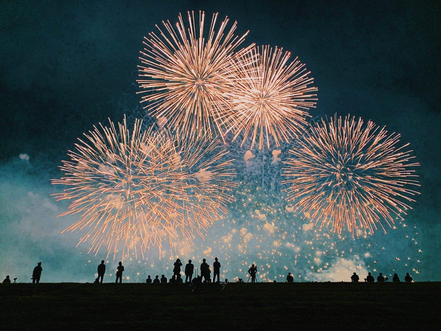 How-To-Safely-Celebrate-New-Years-Eve-With-Pets-1536x1152