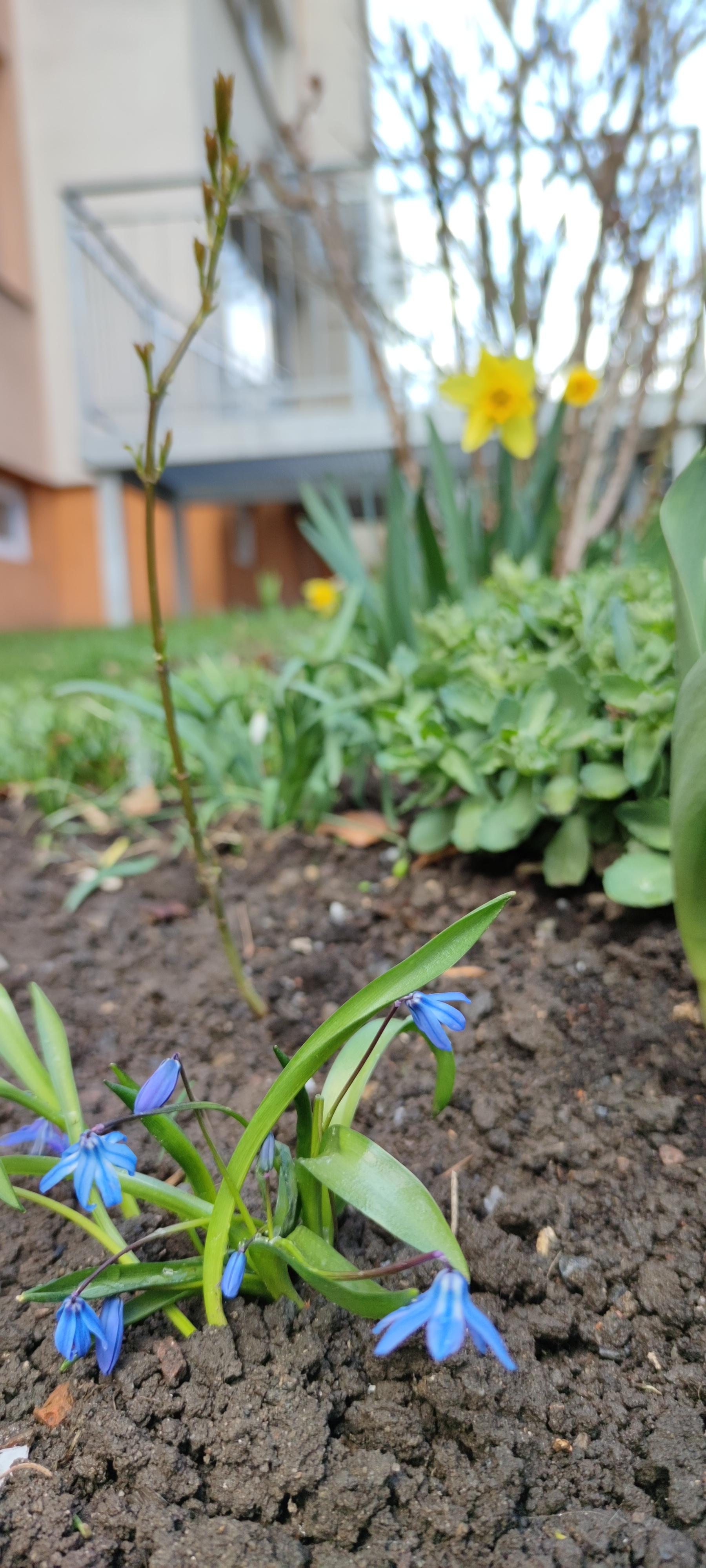 16178094422423901569308900225925