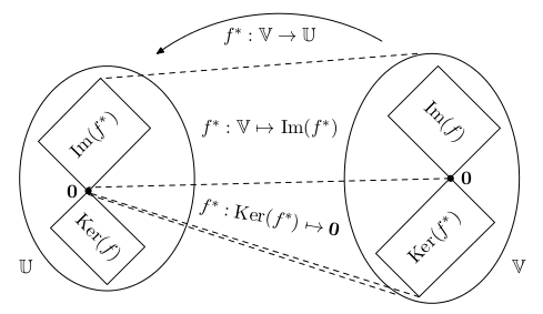 linearni zobrazeni dualita