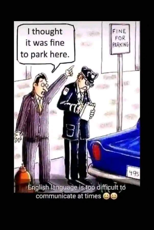 FB IMG 1721127481588