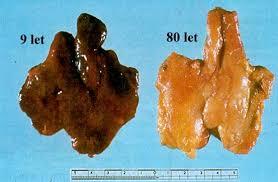 bc9ab9e4-db11-4d4e-82b3-39918c8c0a2c