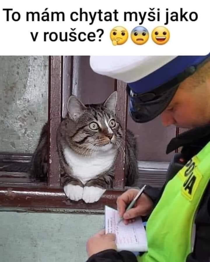 155942767 2733982893598113 2476387799647522708 n