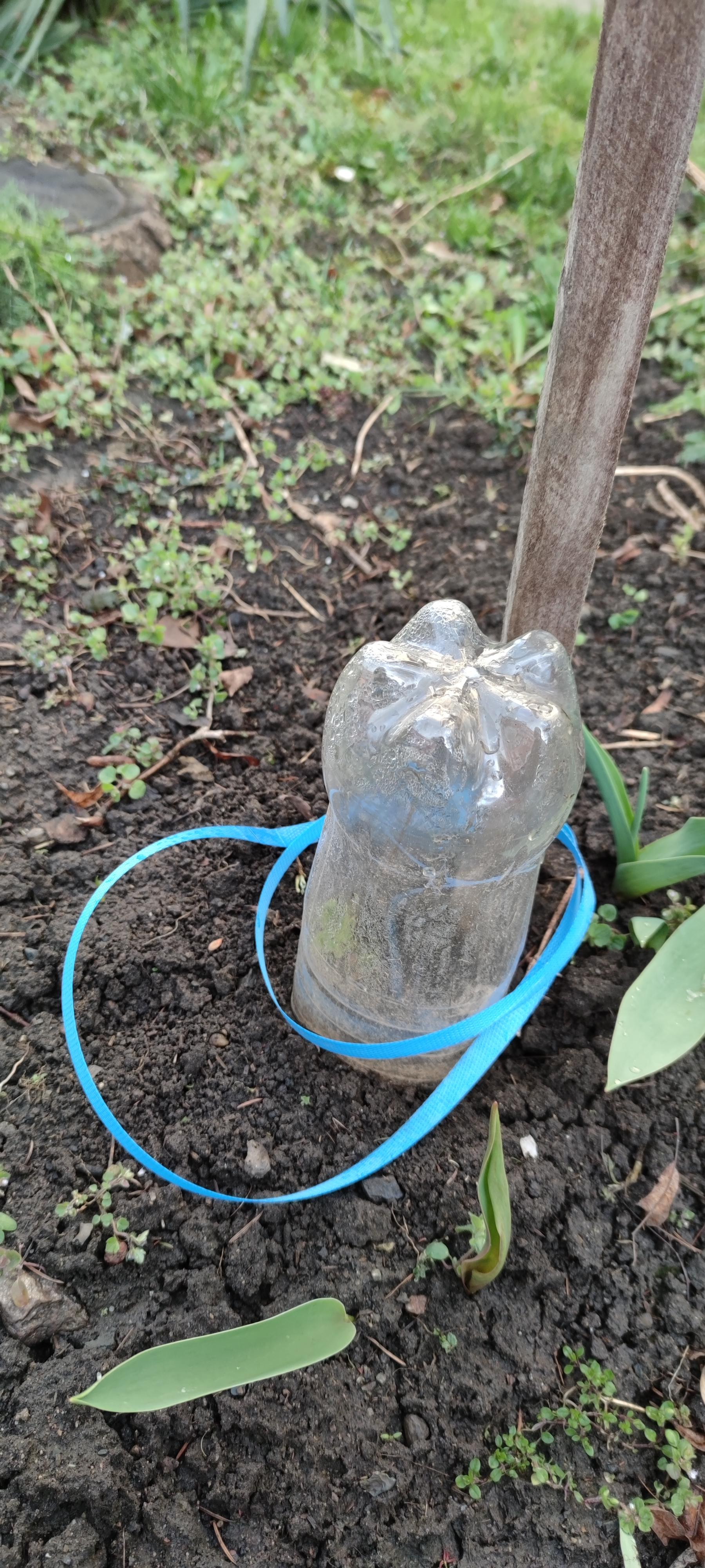 16178107088347979584128383516289