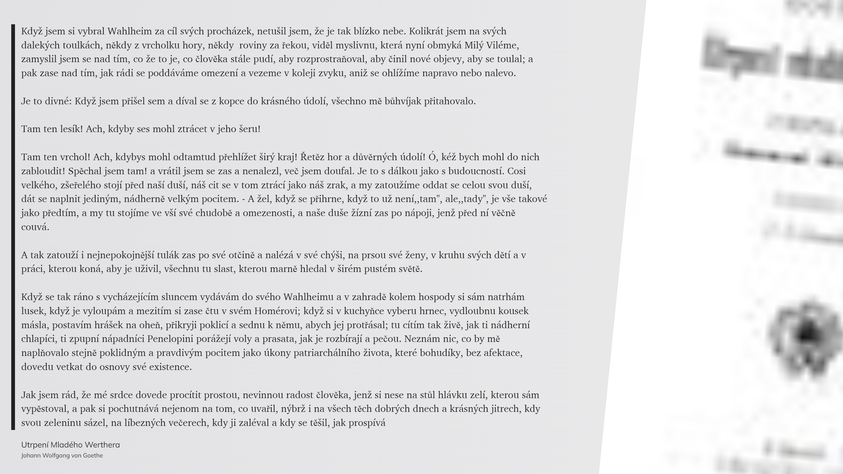 Utrpení Mladého Werthera (10)
