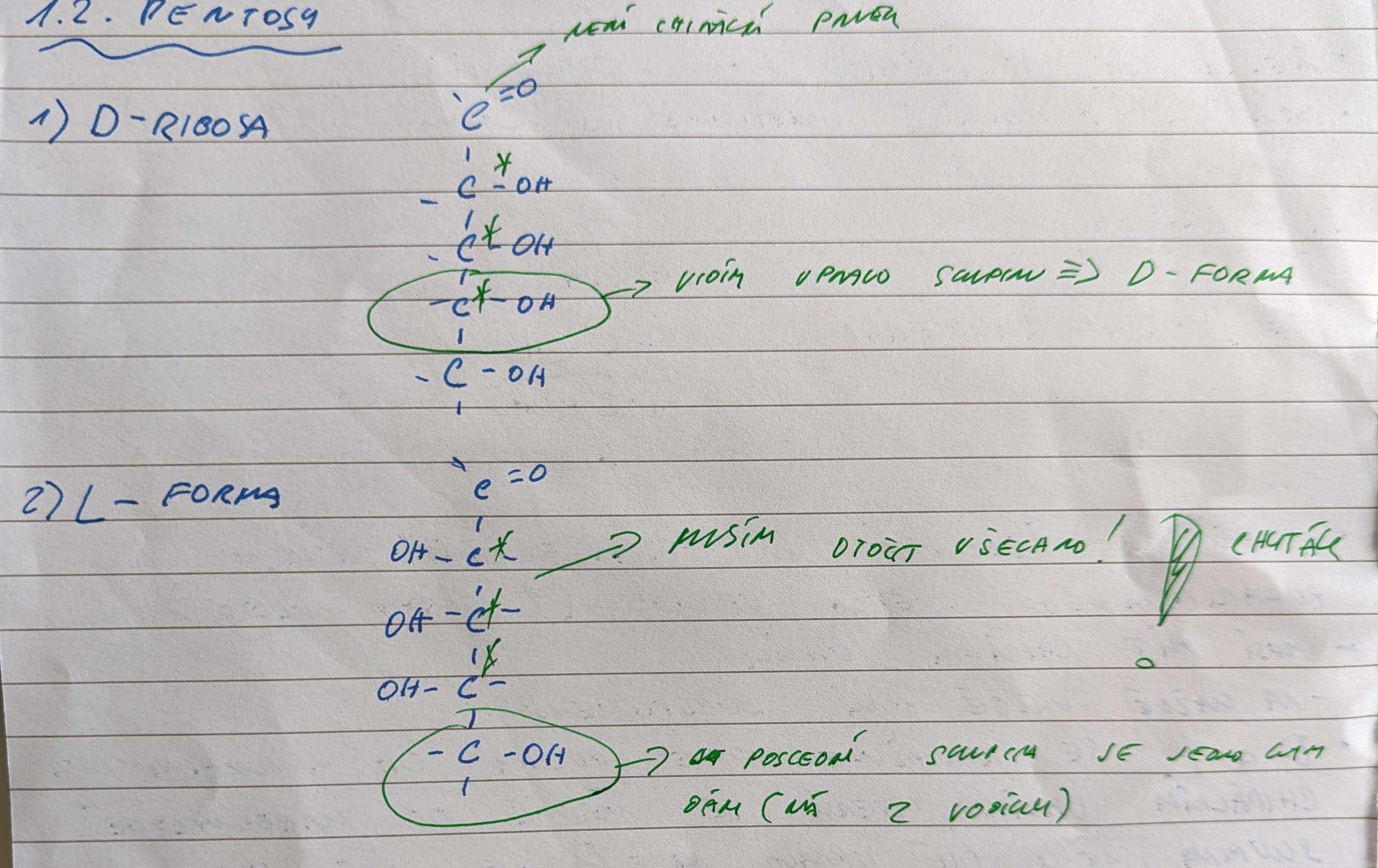 PXL 20221001 103445514