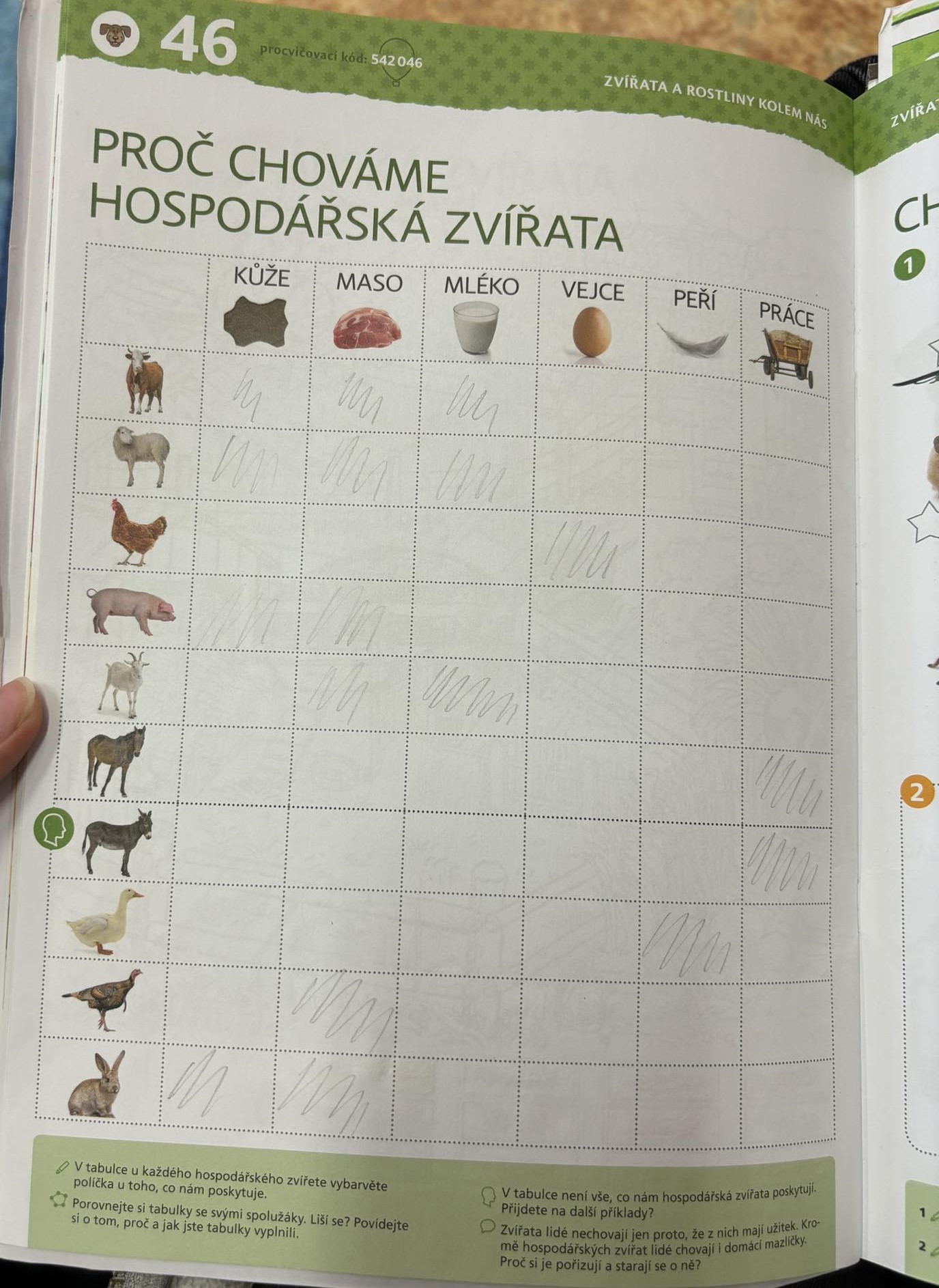 419244785 1384903392054224 8132727665042297097 n