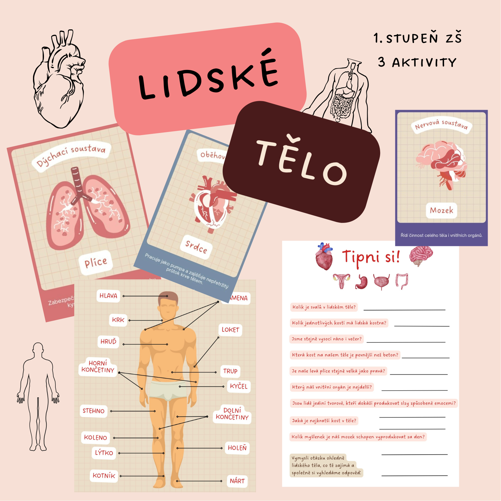 Náhledovka lidské telo