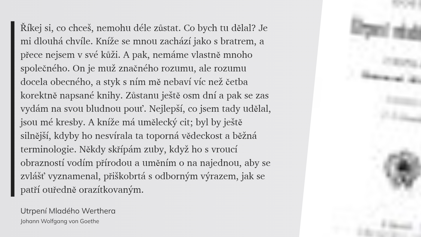 Utrpení Mladého Werthera (40)