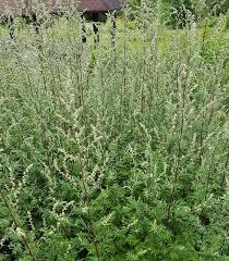 85077b26-bca6-4fce-ac92-495f7a018819