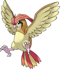 017-pidgeotto