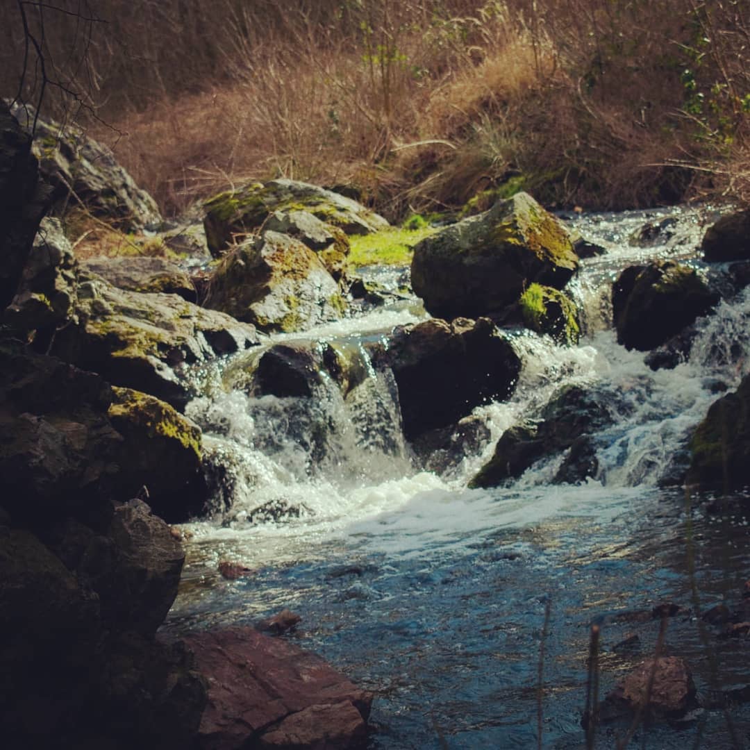 89257854 2706455272805636 666561993578119168 n