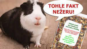 86375d28-4b7b-4084-a376-deefc7599dc5