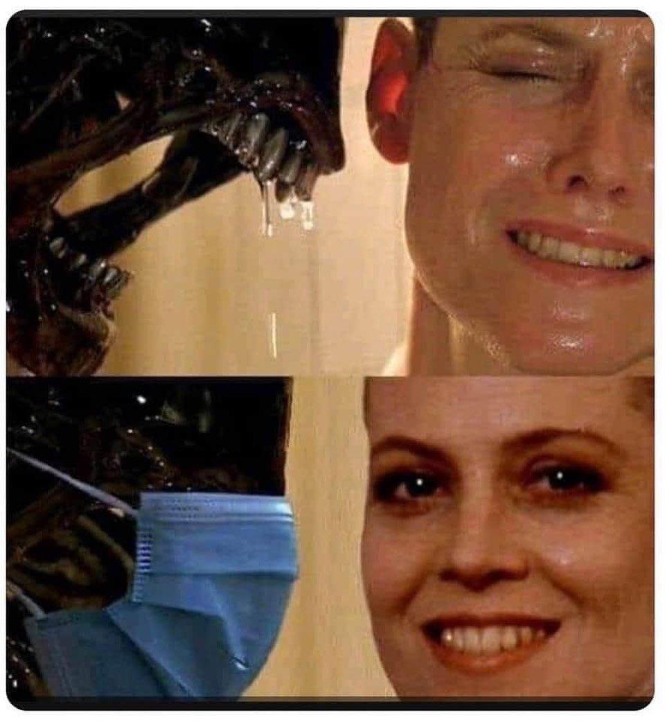 116303068 298799744874335 4727055932874205189 n