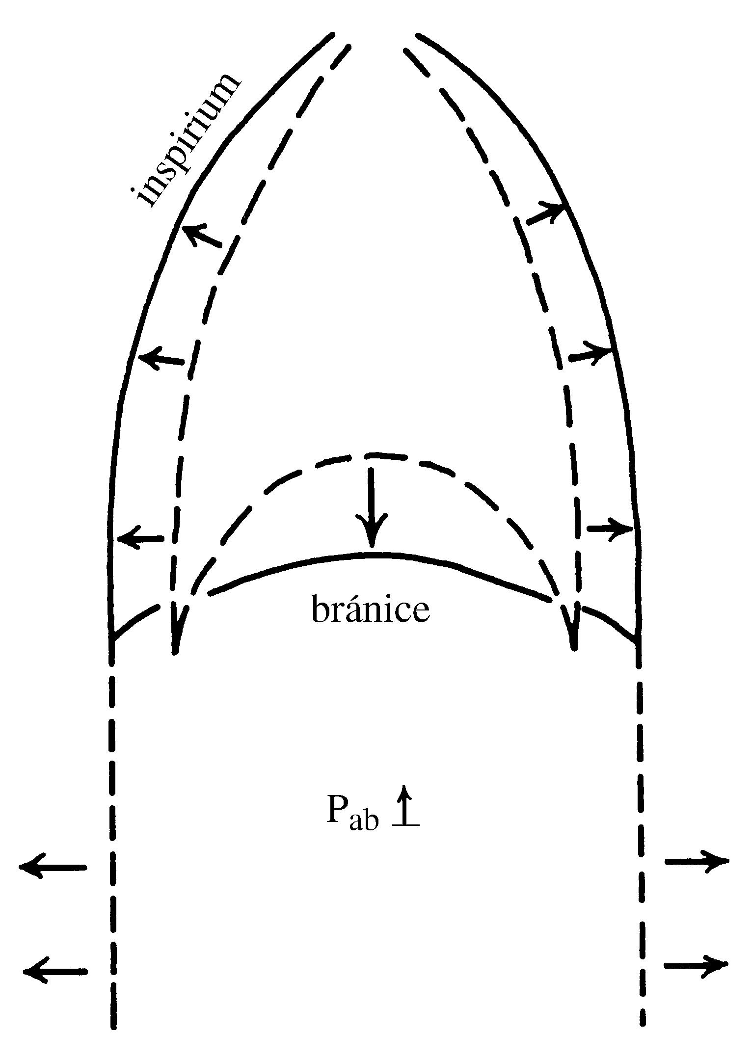 2021 Patologicka fyzio 1 Page 303 Image 0001