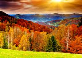 89f66ed3-5e7e-457f-94cb-3c4073230da9