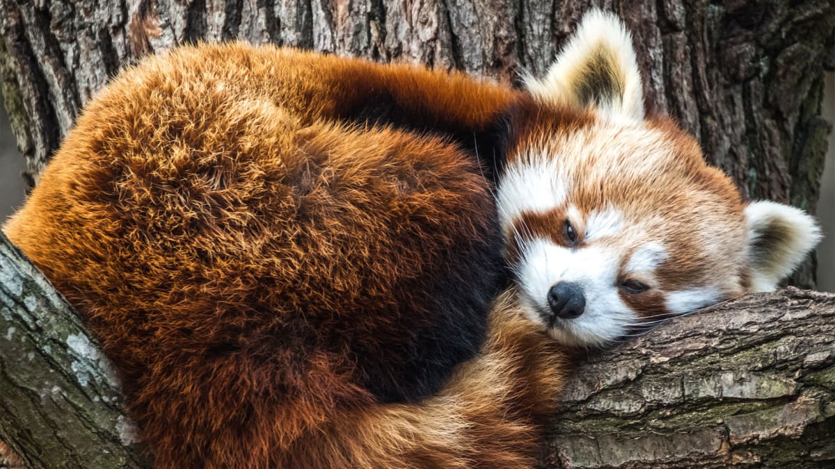 e4973a2376ce8fdbe6558215e19293c3