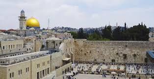 895d9af2-ad77-41fa-9f56-81f8998611eb