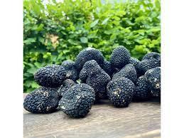 89a72c3b-6c7c-42e1-8668-0a1058c654e1