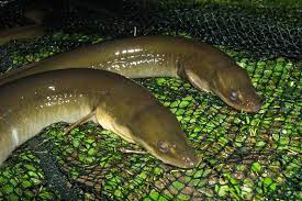 89c32314-8bd1-4944-855e-67d1a95d1088