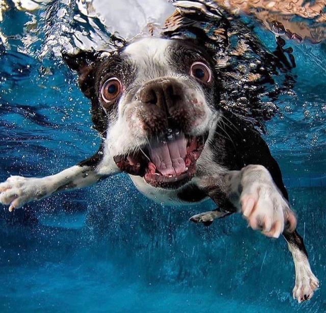 00F89213-D0B2-4B98-AFFA-137BF3AB0CAF