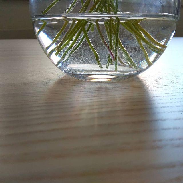 93964511 104383647854805 2208734578684777815 n