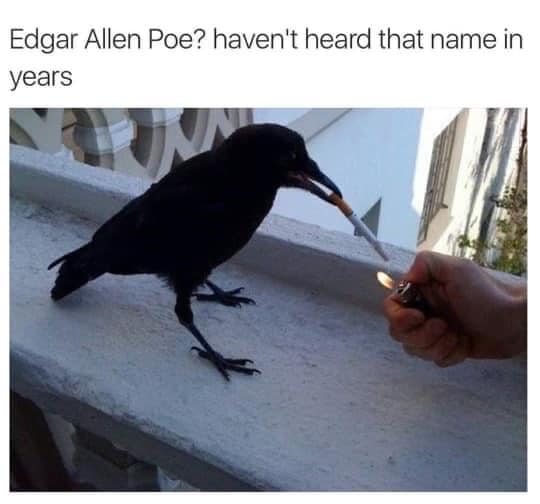 305791939 5664874993552102 7185459390116081946 n