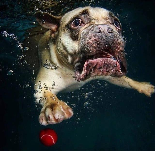 DAC5A9CA-A097-4129-A1E1-393851E1042A