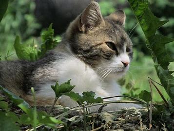 8a9bfa3d-dfaa-4d8c-a7d8-ce67ef67d1d2