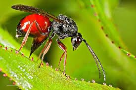 8ab4e047-58cb-4c4c-bd67-c696c4e26459