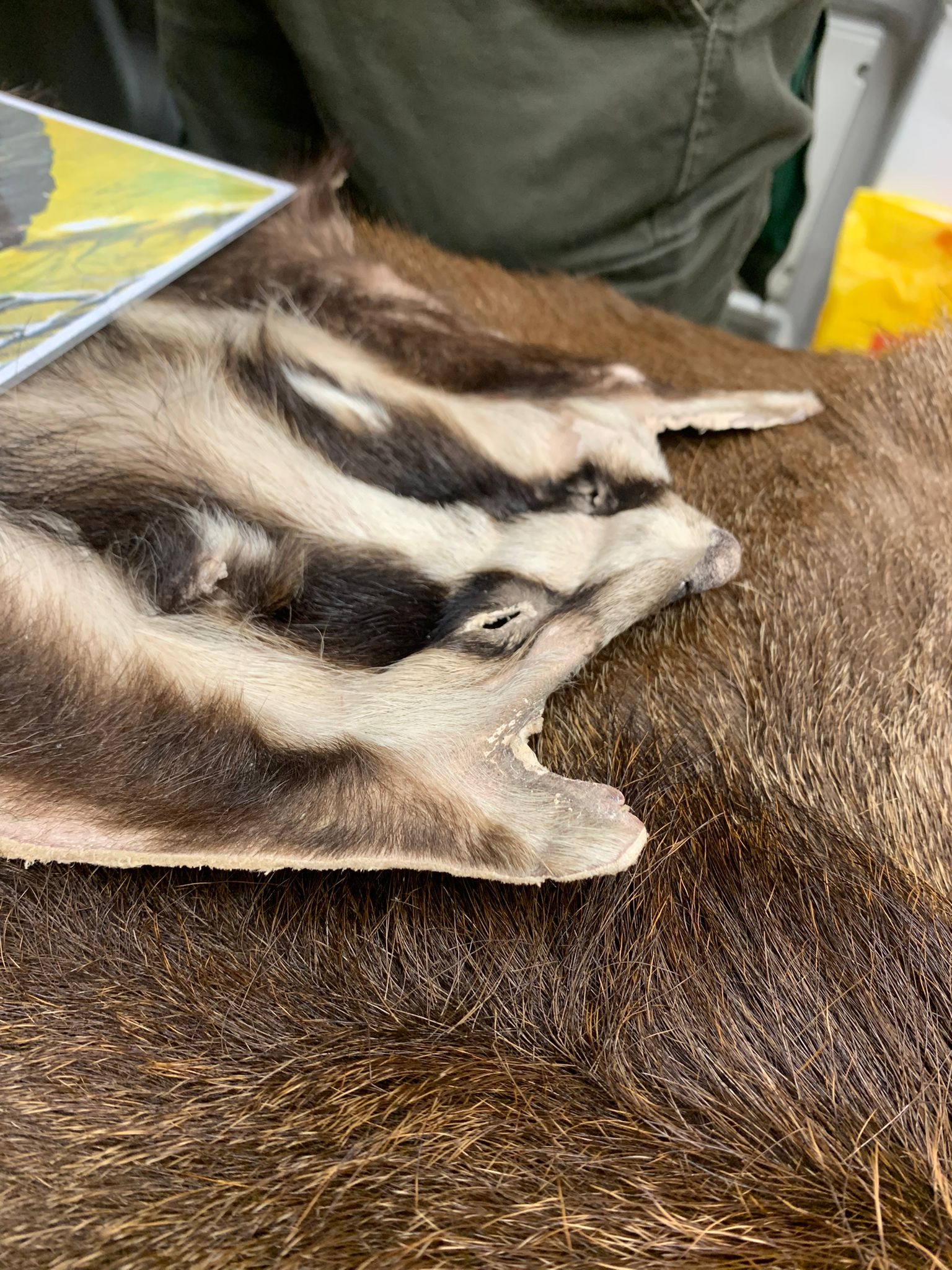 828f29d9-3d28-4deb-86a7-2d2cd41ac923