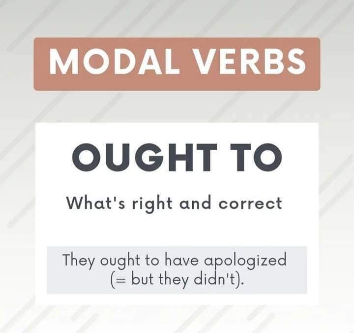 FB IMG 1690059228099