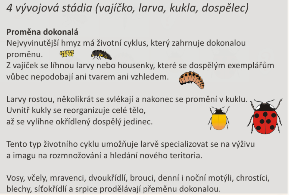 152548117 2067360173565343 3852372750459981367 n