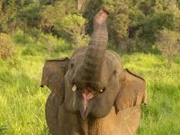 6ff2bd26-0ab9-4d08-9f87-dcf6dce323f4