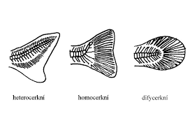 8fb60556-31f6-4a42-aa1f-8372579a4730