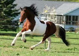 903deb2f-dbda-4230-9a27-60a1f7ed7ce0