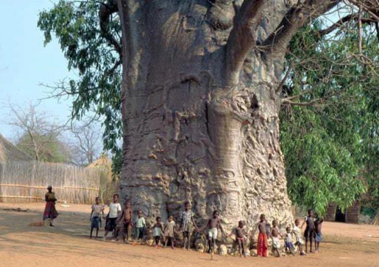 strom-6000let-senegal