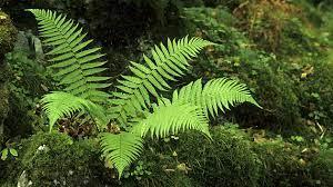 910b3dff-4309-4393-8718-5c727fe449a2