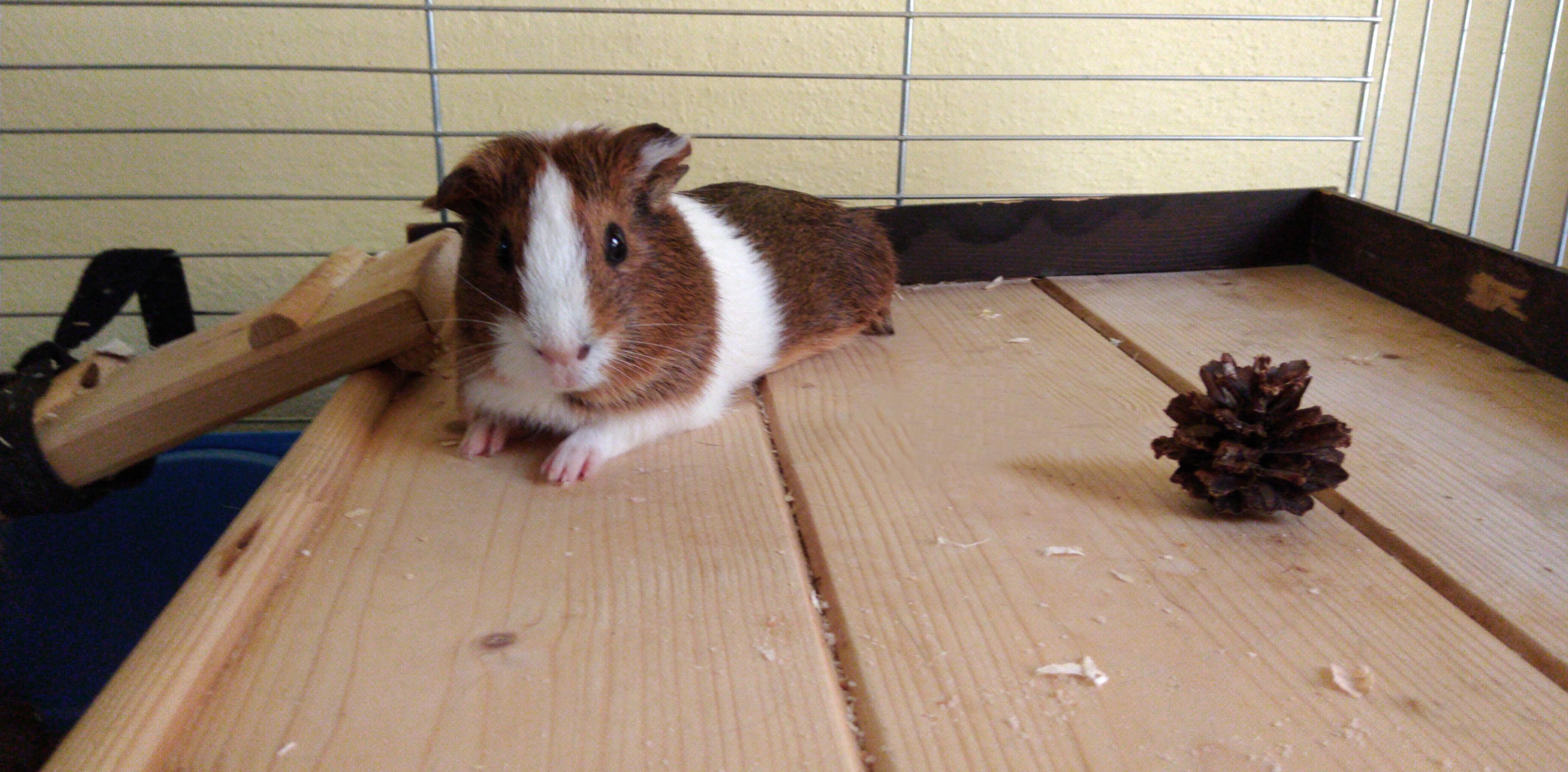 WipeOut35 23 2021 123541.279000