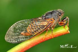 9197983d-4e94-4923-b342-cf1944f42179