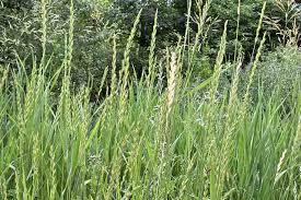 926b8139-4fa5-4c5b-a265-9919bdee4b51