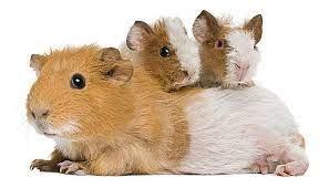 9281360d-86ef-4e97-ac26-753d56da3444