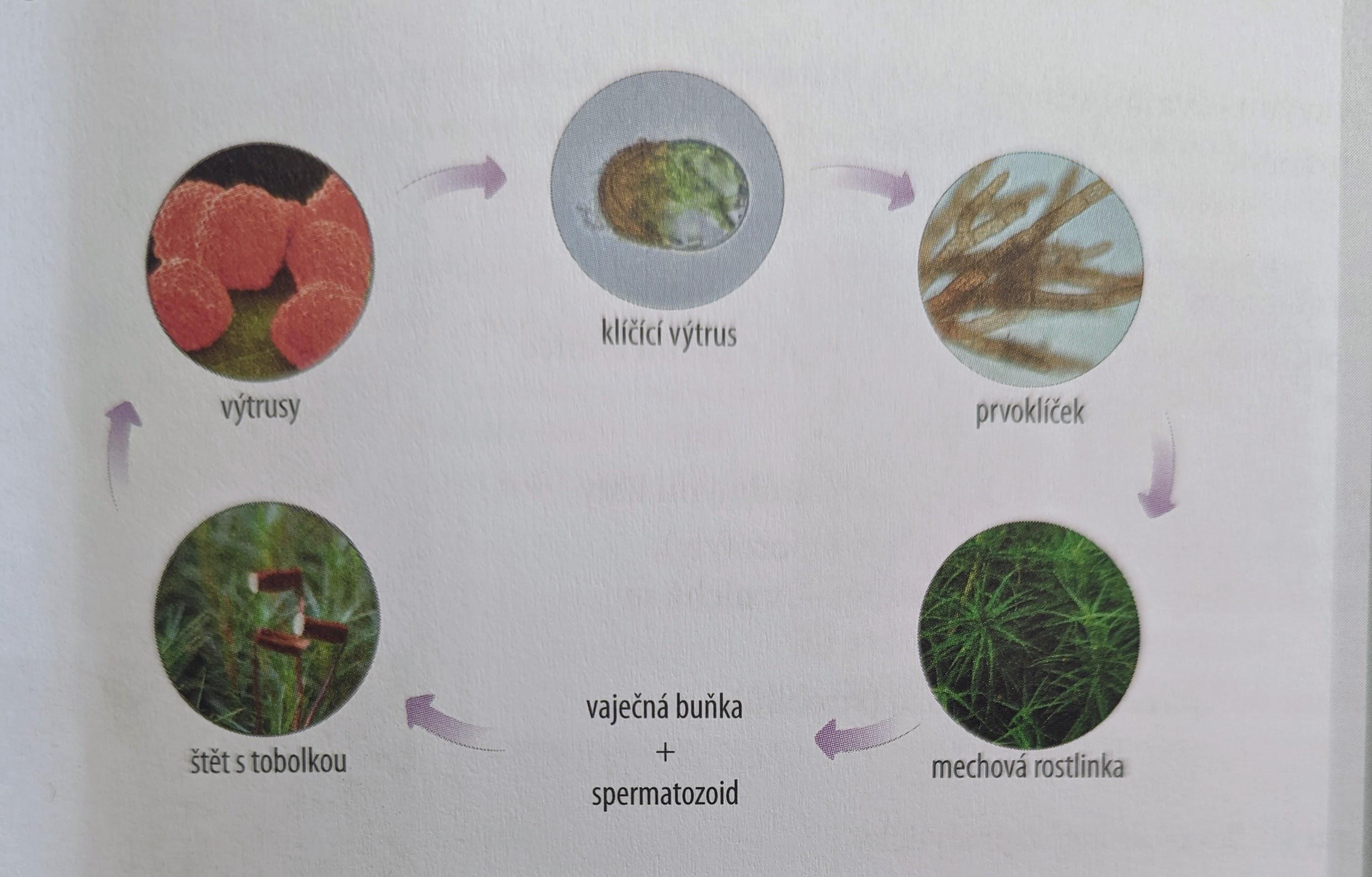 PXL 20221204 104239450