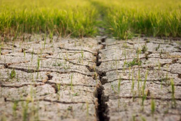 357-eroze sucho pole