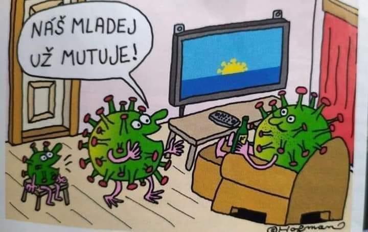 148252886 2591884291034043 8799073594614266942 n